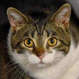 Meet your Posher, Jamie